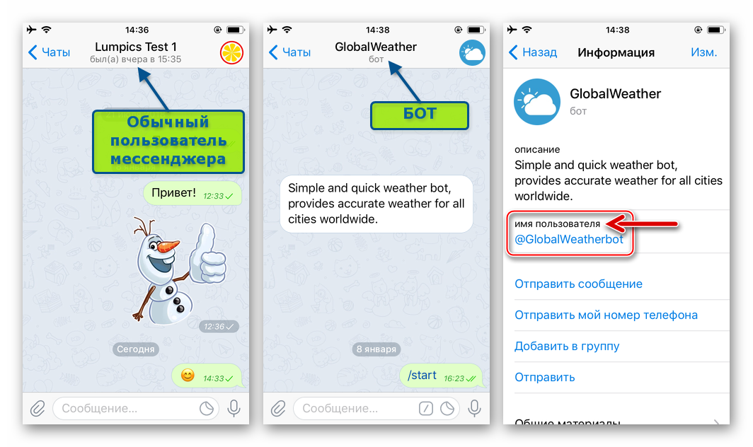 Telegram для iOS - ссылка в мессенджере на профиль пользователя или бота на экране Информация
